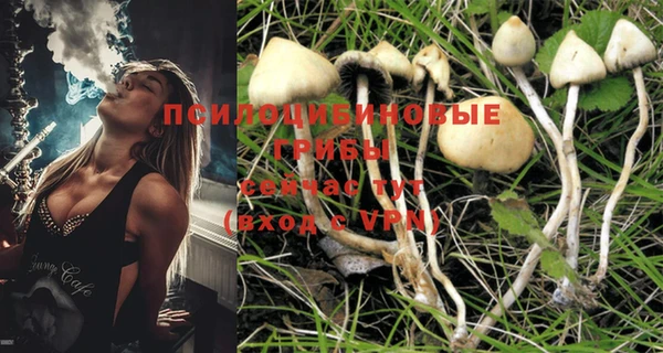 марки nbome Абаза