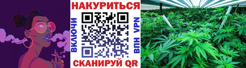 где купить наркоту  Иваново  Шишки марихуана планчик 